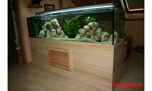 Malawi Mbuna Becken 500l